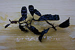 IMG 7534