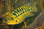 20150626 IMG 6172