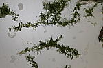 IMG 7804