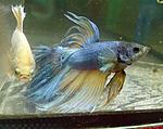IMG 20150629 183904 1