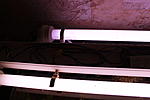 IMG 7871