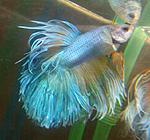 IMG 20150629 183742 1