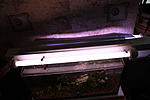 IMG 7867