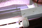 IMG 7868