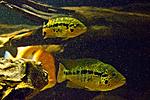 20150626 IMG 6154
