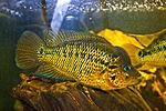 20150626 IMG 6165