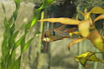 IMG 7872