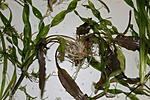 IMG 7806