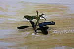 IMG 7535