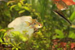 IMG 7838