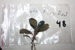IMG 7565