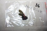 IMG 7563