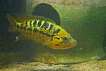 20150721 IMG 6382
