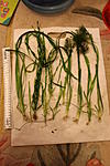 IMG 7928
