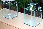 IMG 7711