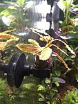 copy 381 IMG 7004