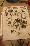 IMG 7926