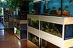 IMG 7707