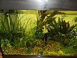 ! 450  Juwel Rio,   - ,   -  :)