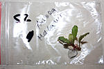 IMG 7568