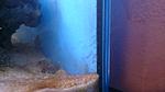 IMG 20150710 201823