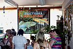 IMG 7714