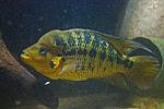 20150721 IMG 6362
