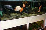 IMG 7708