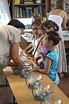 IMG 7716