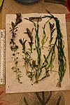 IMG 7925