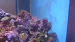 IMG 20150710 201800