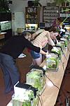IMG 7718