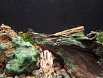 DSCF6045