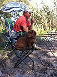 user44445 pic212275 1436801980