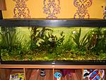 ! 450  Juwel Rio,   - ,   -  :)