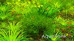 IMG 20150706 133343