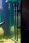 20150721 IMG 6386
