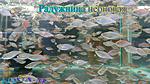 IMG 20150805 151341