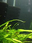 IMG 2373[1] mini