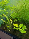 IMG 20150809 115151