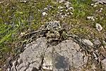 20150731 IMG 6437