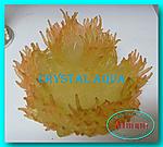 ������� SH 010