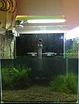 IMG 0002