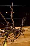 20150805 IMG 6475