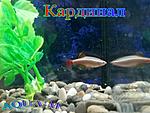 IMG 20150804 222548