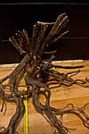 20150805 IMG 6472