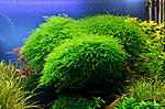 026 03 Aqua112 PRs Forum