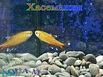IMG 20150804 221657