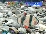 IMG 20150804 221825