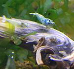 DSCN5292